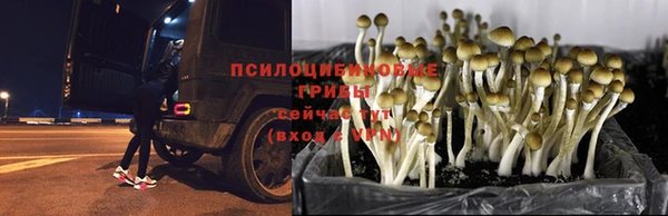 дистиллят марихуана Надым