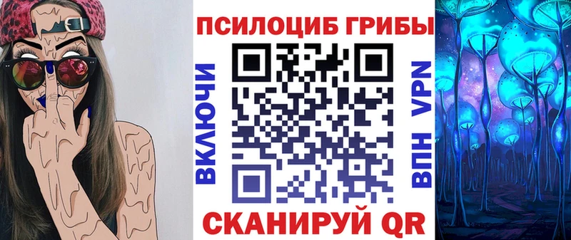 цена   Яхрома  Галлюциногенные грибы Cubensis 